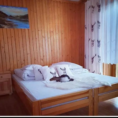 Homestay Pokoje U Moniki Bialka Tatrzanska